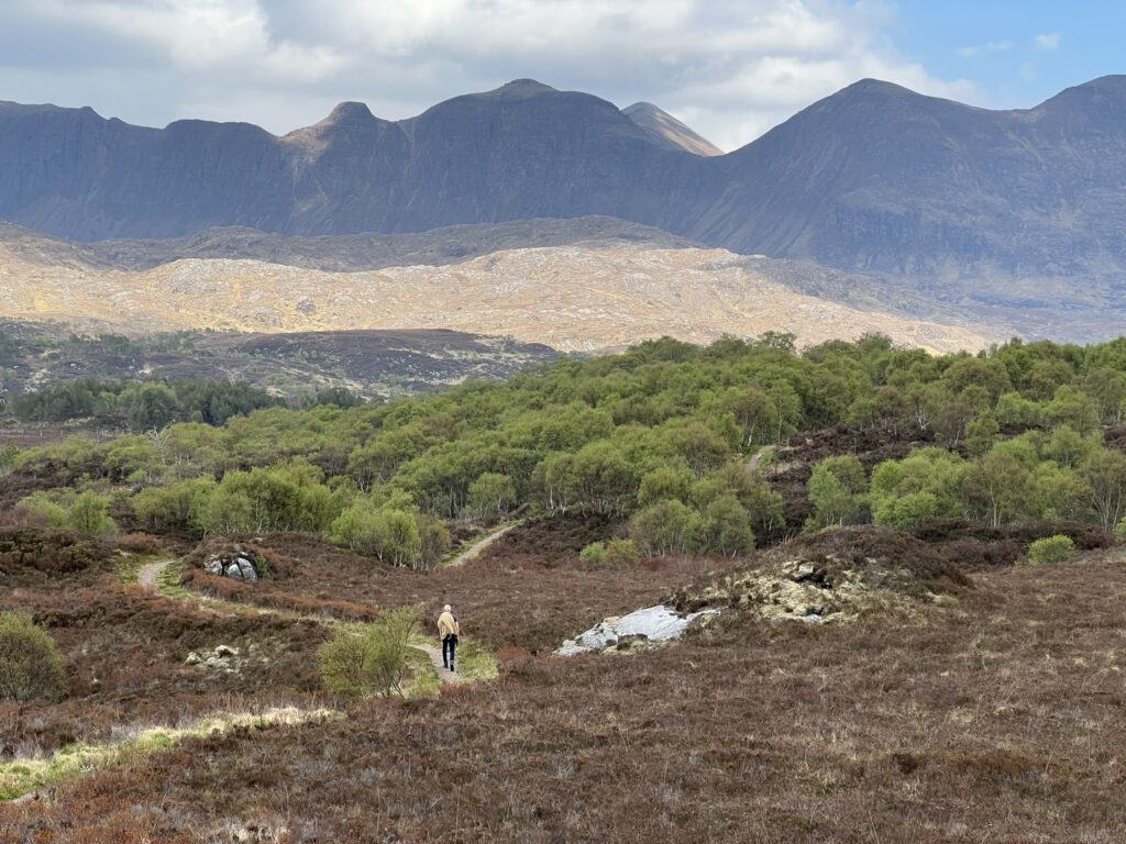 Little Loch Assynt circuit